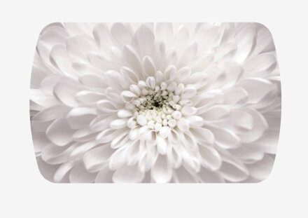 Стол обеденный Бостон Флоренс (брифинг) 